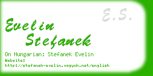 evelin stefanek business card